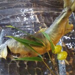 旬菜 蔵 - 