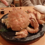 割烹 逆瀬川 川上 - 毛ガニ