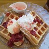 Cafe Yummy Waffle - 