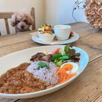 ムームカフェ - 