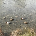 ピエール・エルメ・パリ - 