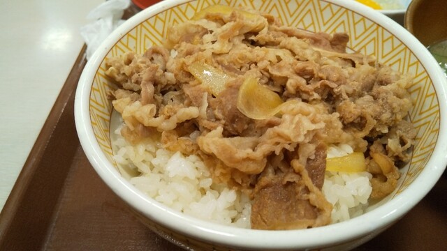 すき家 4号奥州水沢店 - 水沢（牛丼）の写真