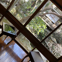 HATSUNEYA GARDEN -  HATSUNEYA GARDEN -