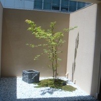 福島 もう利 - 