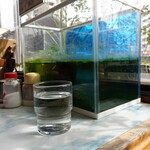 ヴィーナス - 金魚が泳ぐ様子がよく見えない