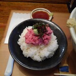 Homemade Ramen 麦苗 - 実家の魚飯(ネギトロ)