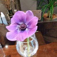 ロイズグランメゾン - 花