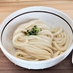 手打ちうどん 漕 - しょうゆうどん（冷）500円