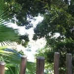 ロストリバークックハウス - 店前の座席からの風景