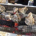 Mirukugaki Toyohisamaru - 牡蠣
