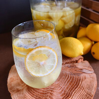 自家製レモンサワー