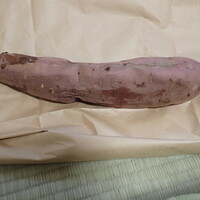 ぼくのさつまいも 新潟大学前 スイーツ その他 食べログ ぼくのさつまいも 新潟大学前 スイーツ その他 食べログ
