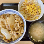 Yoshinoya - 豚丼（並盛）
                        Aセット（生野菜サラダ、みそ汁）