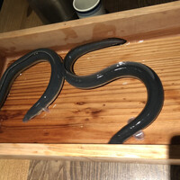 にょろ助 銀座 - 