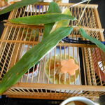 日本料理旬菜旬魚 花琳～かりん～ - 2013.5