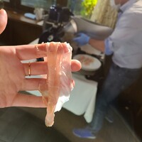 リストランテ ハナタニ - 