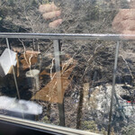 手打蕎麦　ごろう - 