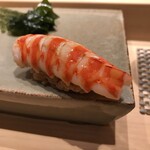 Fudoumae Sushi Iwasawa - 牡丹海老