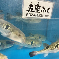 かに・ふぐ専門 蟹吉WEST なんば道頓堀 - 
