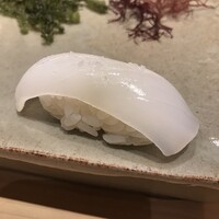 不動前 すし 岩澤 - アオリイカ