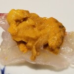 馳走 啐啄一十  - ⑬真鯛(愛媛県来島海峡産、3日寝かせ)、紫雲丹(長崎県平戸産)載せ
      紫雲丹の産卵期は初夏～晩夏、旬は初夏～晩夏、穏やかな甘みが特徴
      真鯛も紫雲丹の組合せは味わいが強いのでお造りの〆としてピッタリ