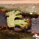 てんぷら　成生 - 