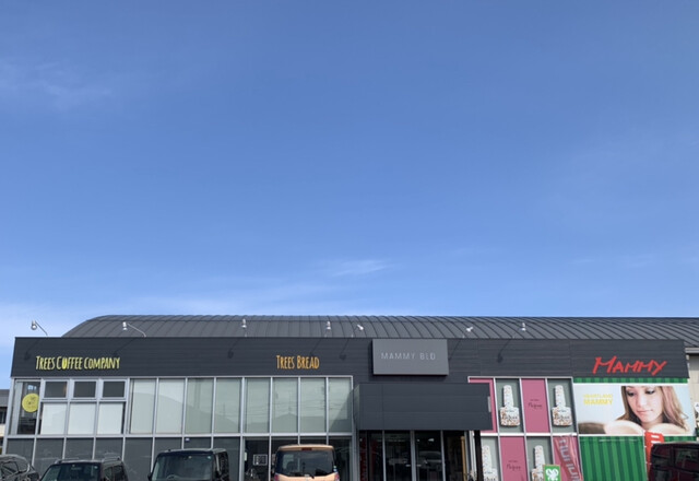 ツリーズ コーヒー カンパニー マミー店 Trees Coffee Company 湖山 パン 食べログ