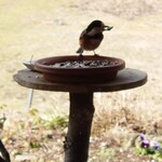 くつきそば 永昌庵 - 