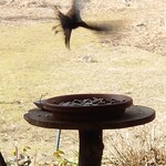 くつきそば 永昌庵 - 