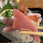魚料理 常陸 - 鮪中トロ