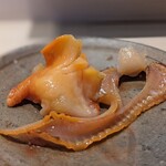 鮨みやもと - 赤貝　閖上産　香りが強い