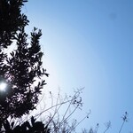 ラーメン二郎 - 今日も二郎日和♪