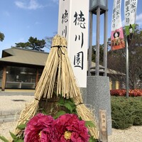 ル　ピニョン - 