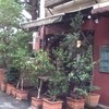 ジ アース カフェ うつぼ公園・本店