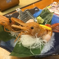 海鮮家 はこだて 本店 - 特大牡丹海老