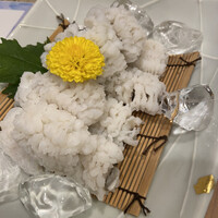 寿司割烹 松葉 - 
