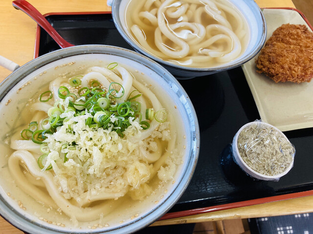 手打ちうどんますや 潟元 うどん 食べログ
