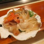 辰美寿し - 貝尽くし