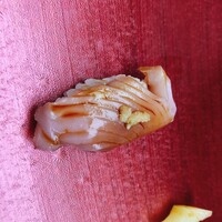 寿司 銀明翠 博多 - カツオ
                      甘みがあってとても美味しかった！
