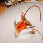 ル スプートニク - 