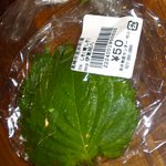 ふれあいの里 - 2012,09,01