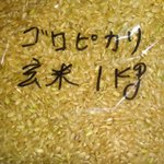 ふれあいの里 - 2012,09,01