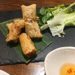 Vietnam French De salita - 揚げ春巻き
            海鮮、豚肉