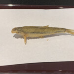 京都祇園 天ぷら八坂圓堂 - 