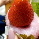 和創菓ひとひら - 