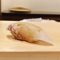 鮨 はしもと - 淡路の真鯛
                    考え少しあるが硬さは感ぜず、身に程よい甘みと食感があります。