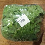 ディオ - レタス (税抜)91円　(2021.02.14)