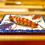 一心鮨 光洋 - 車海老（天草）～いつもながら、蜂蜜を加えたシャリと車海老の相性は抜群。