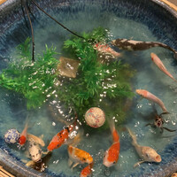 松阪牛 よし田 - 