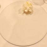 La Floraison de TAKEUCHI - ✴︎北海道産活帆立貝とカリフラワーのヴァリエ
                        スモークの香るフロマージュブランとパルメザンの雪
                        まず見た目が美しすぎる！！！！本当にホタテの上に雪が降ったような美しいお料理